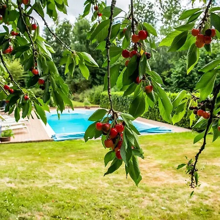 Charming House In Sint Jansrade With Private Pool And Sauna Aubel