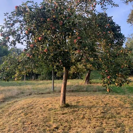 House In Sint Jansrade With Pool Casa de Férias *