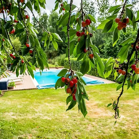 House In Sint Jansrade With Pool Casa de Férias