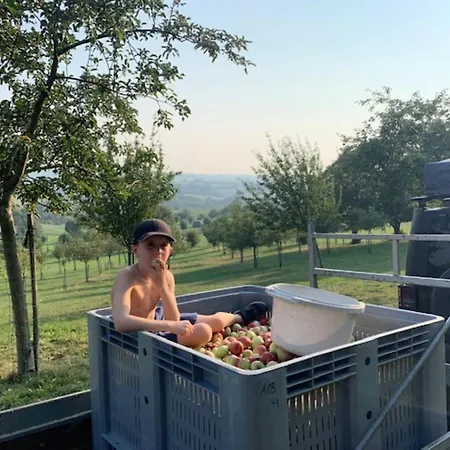 House In Sint Jansrade With Pool *